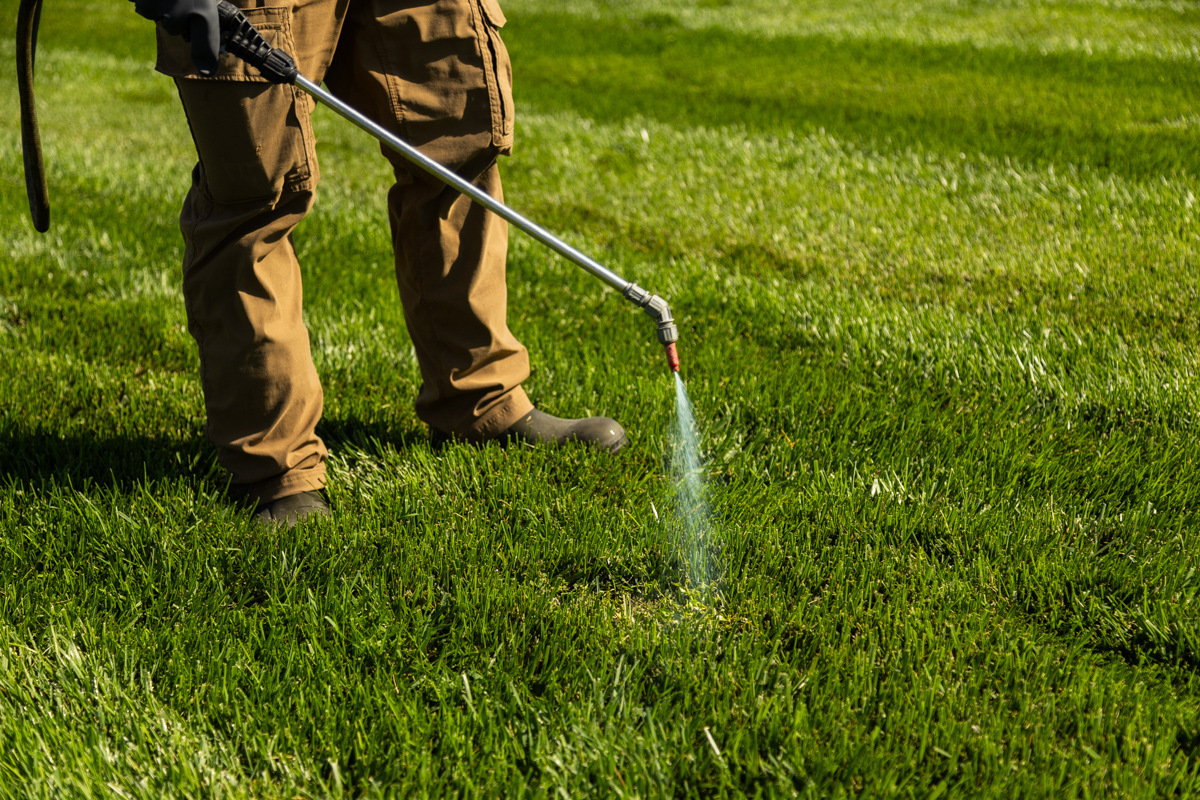 Technician spot-spraying a lawn with a handheld spray wand