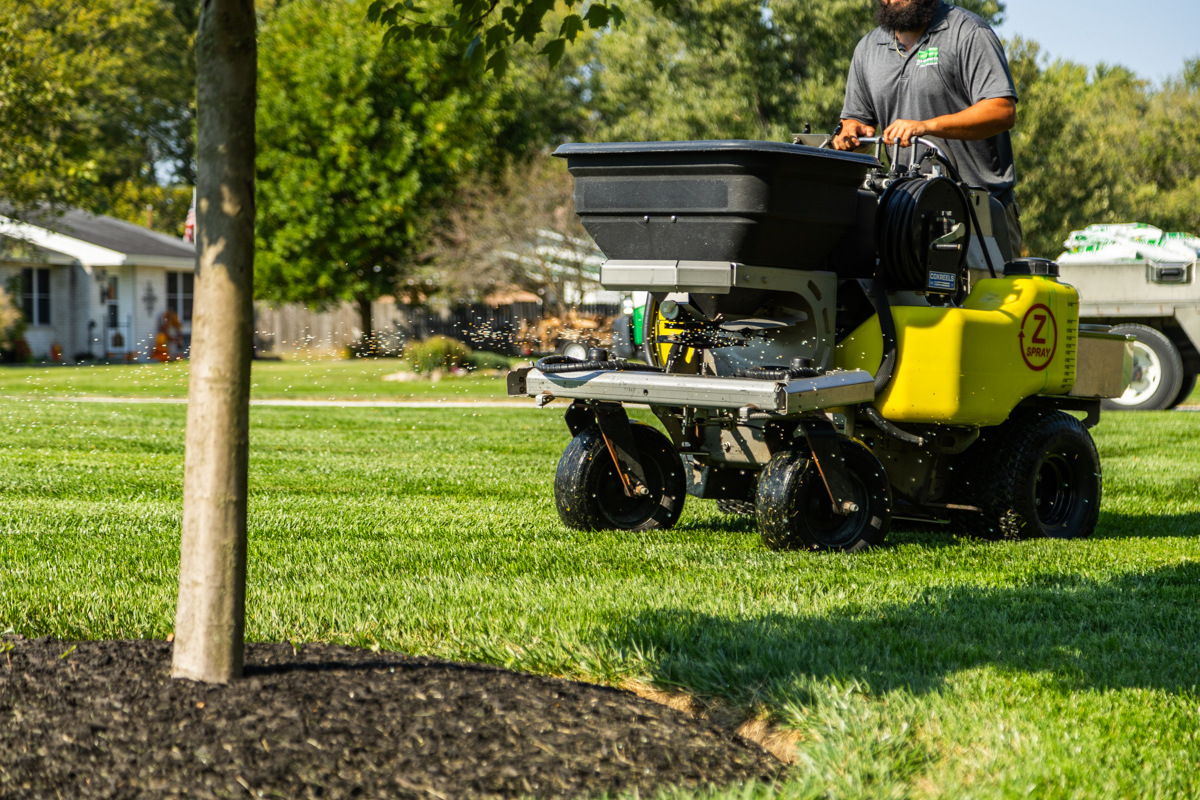 Ride-on spreader passing a mulched young tree on a green lawn
