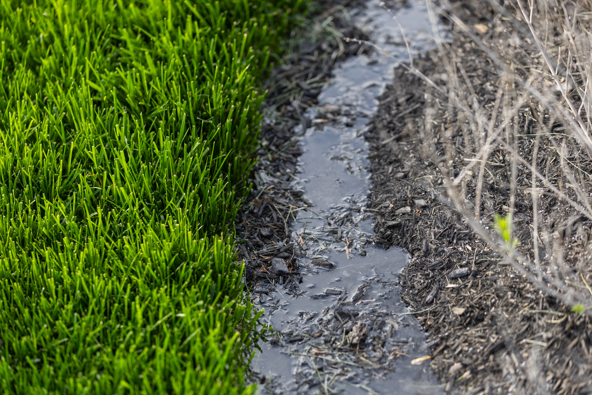Water running through a mulch bed along the edge of a lawn