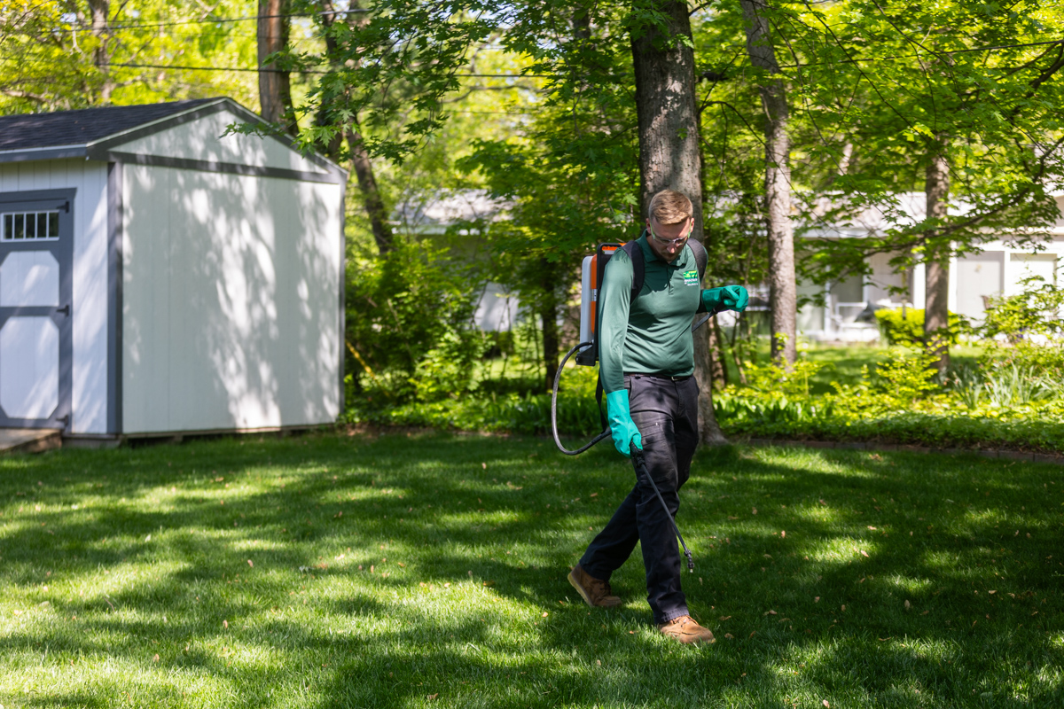 Technician with a backpack sprayer spot-treating weeds in a shaded backyard