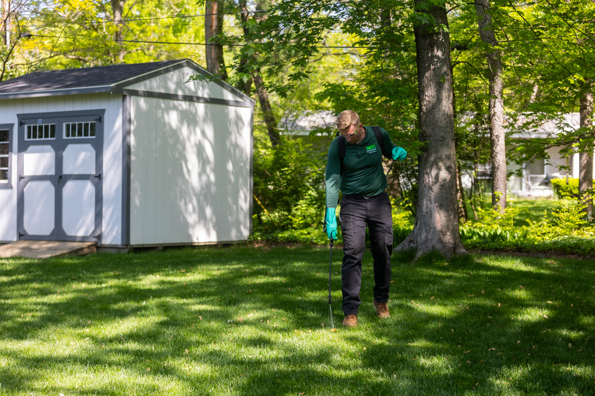 Technician spot-spraying a backyard lawn next to a white garden shed