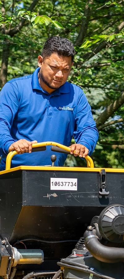Aeration & Seeding – Ant's Plants